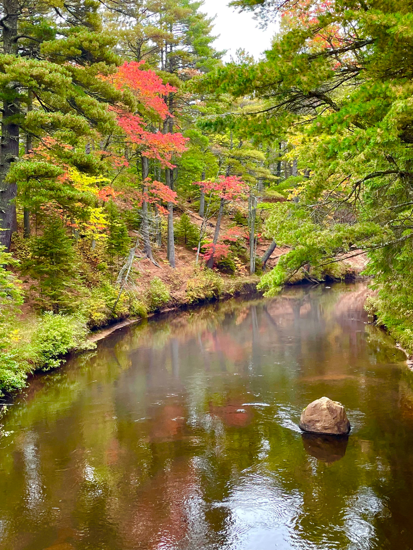 Two Hearted River in fall color