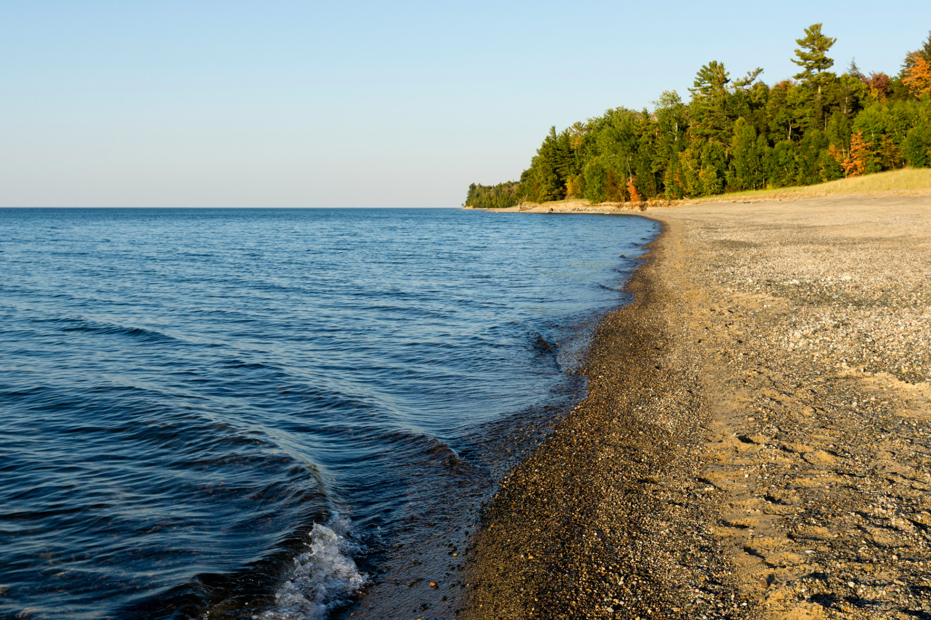 Grand Marais shoreline with blue water and tree-lined beach