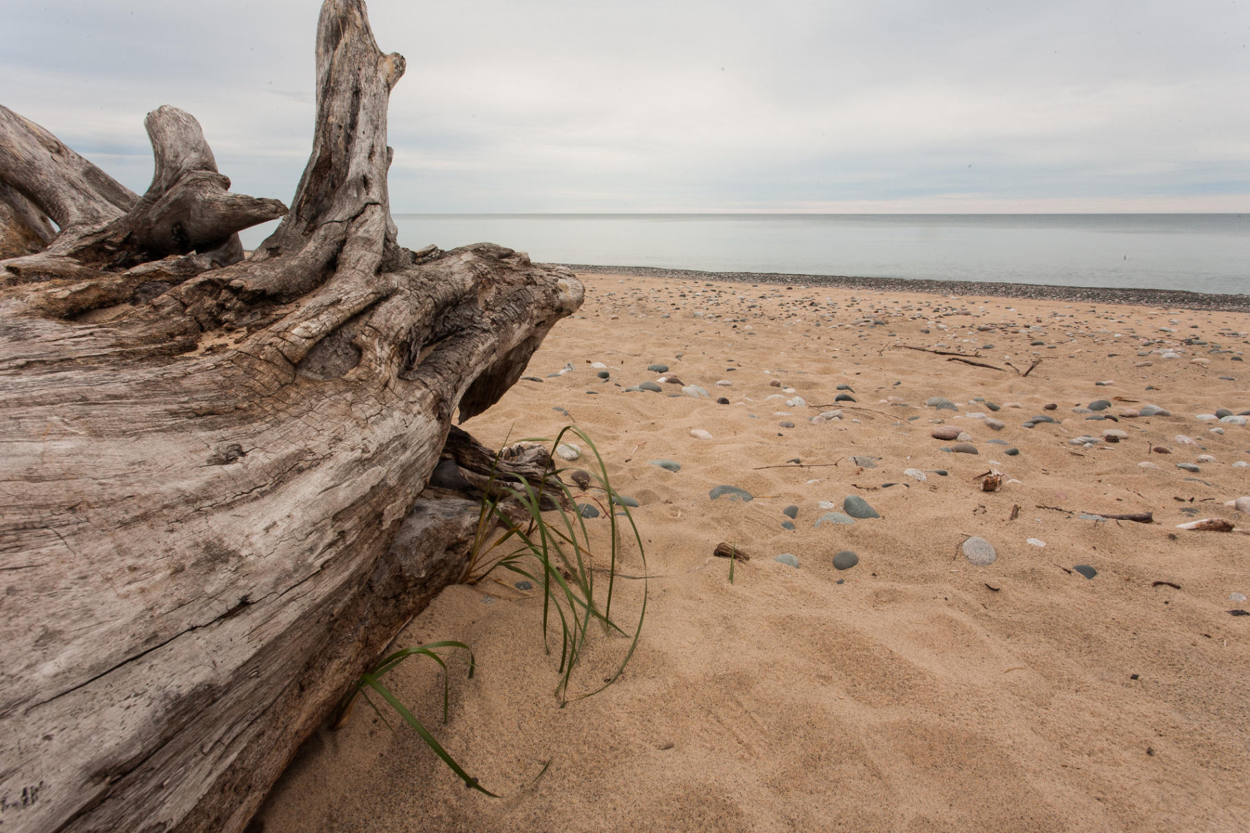 Driftwood on a sandy Grand Marais beach